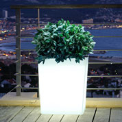 Jardinire Lumineuse Blanche - 60x31x H.70